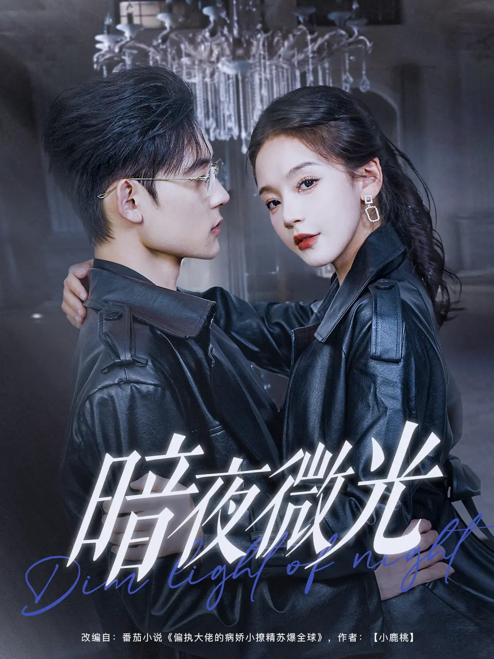 暗夜微光(2025) - 内地