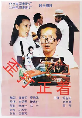 歪打正着1993(1993) - 中国大陆