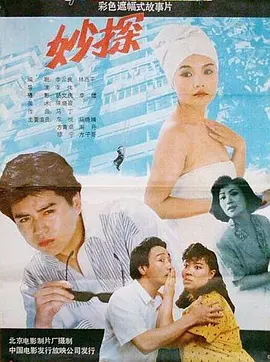 妙探1991(1991) - 中国大陆