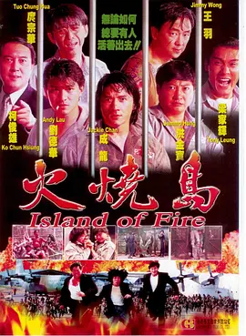 火烧岛1991(1991) - 中国台湾