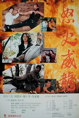 怒火威龙1992(1992) - 中国香港