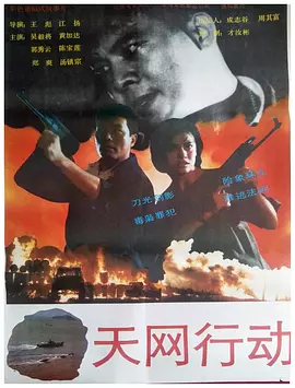 天网行动(1994) - 中国大陆 / 中国香港