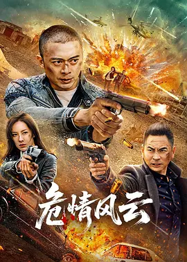 危情风云海报图片