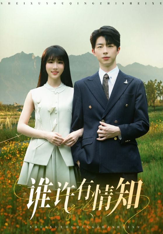 谁许有情知海报图片