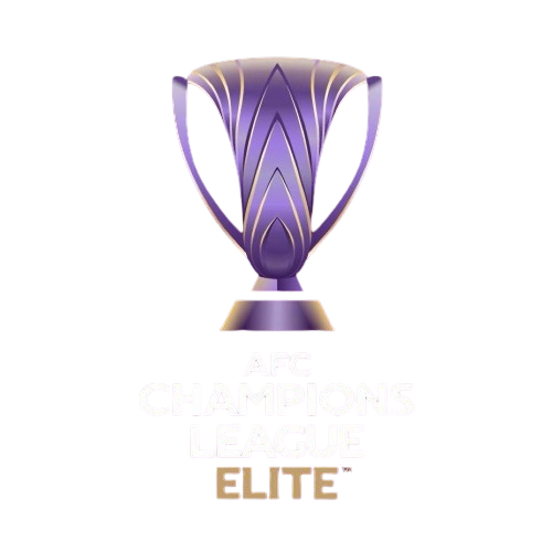 亚冠精英联赛阶段 利雅得新月vs杜海勒20250917