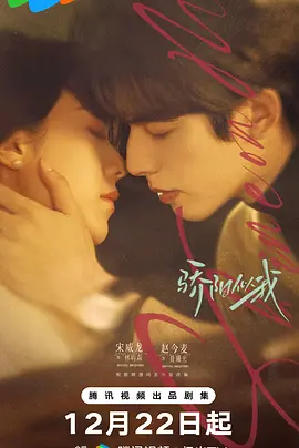 骄阳似我封面图