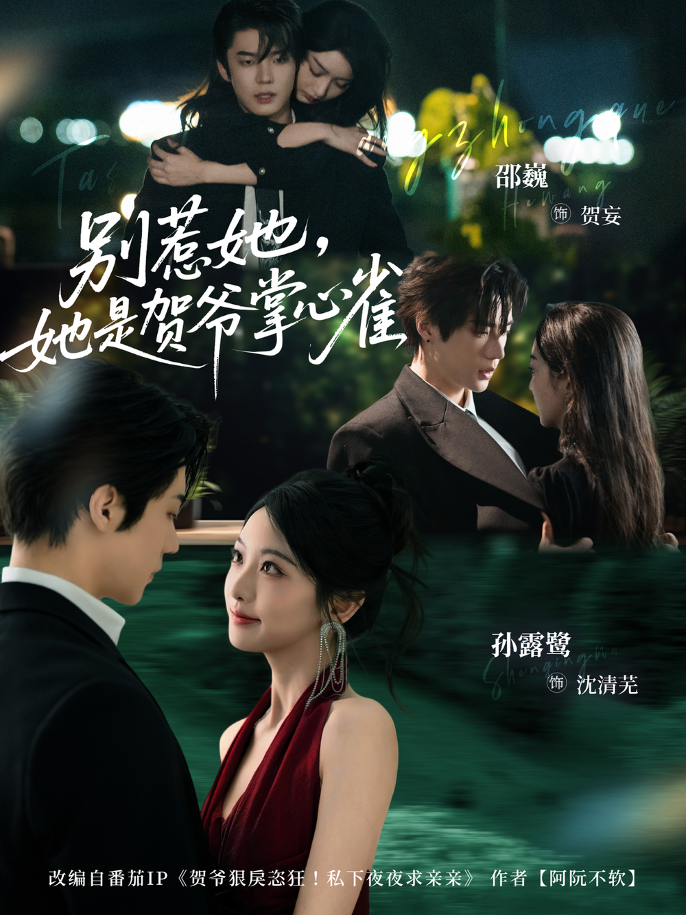 别惹她，她是贺爷掌心雀