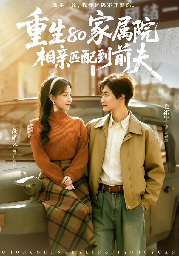 重生80家属院，相亲匹配到前夫