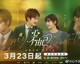 心不由己封面图