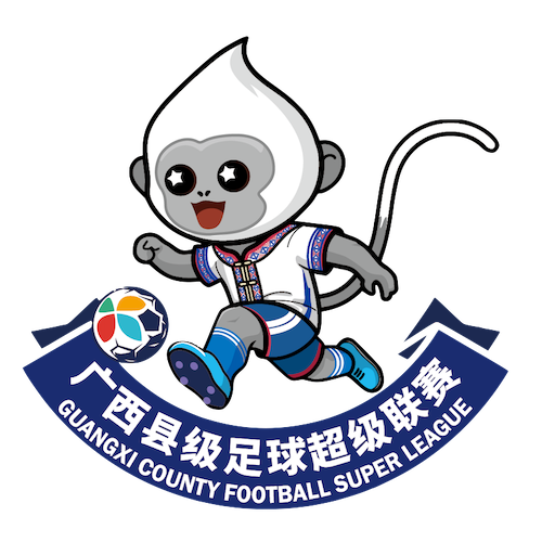 广西县级足球超级联赛 贺州市平桂区队2-4梧州市苍梧县队20260327