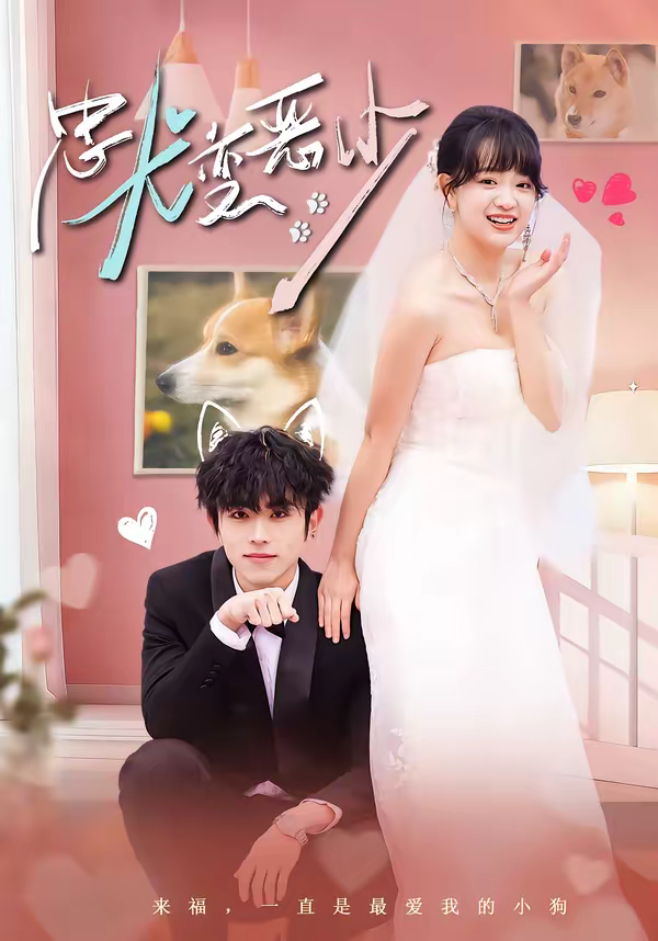 惊！我家来福变恶少了＆忠犬变恶少