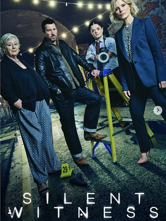 无声的证言第二十九季