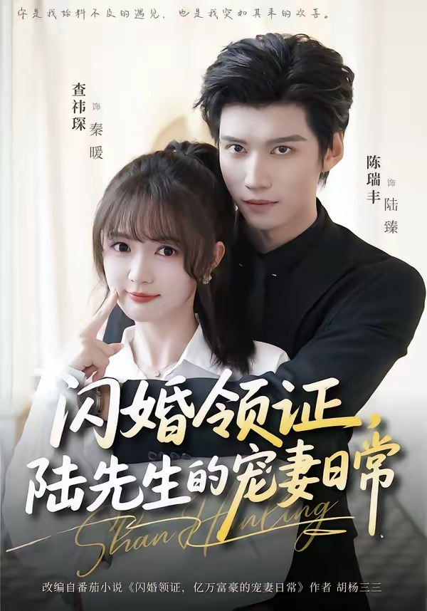 闪婚领证，陆先生的宠妻日常