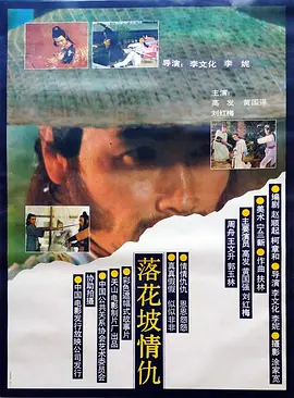 落花坡情仇[电影解说]封面图